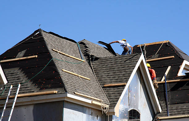 Best Roof Gutter Cleaning  in Cambridge, MA